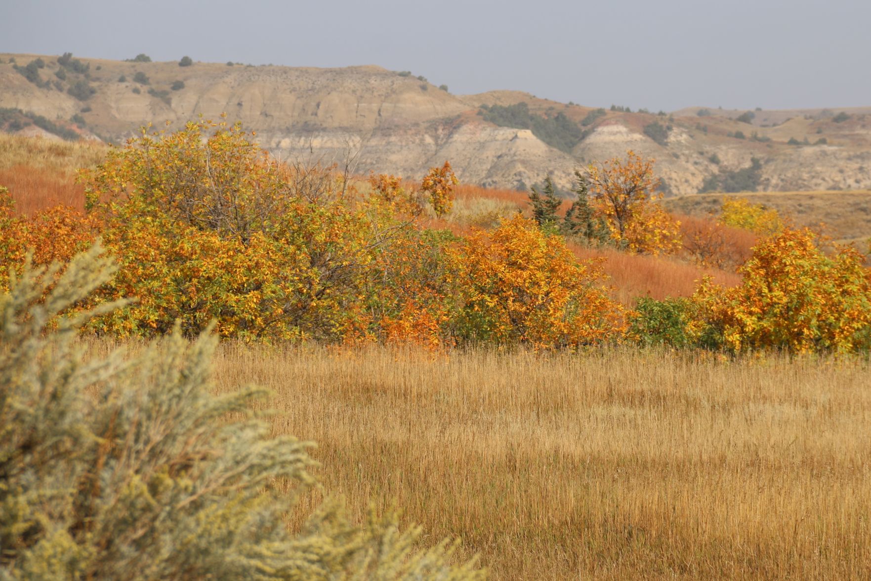 Badlands Fall Colors